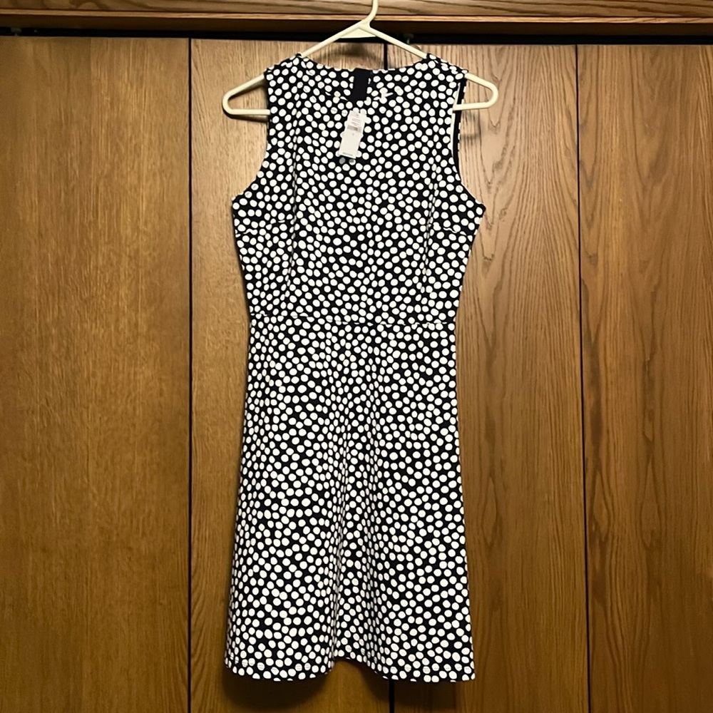 New!  GAP Dark Navy Polka Dot Dress Size 2